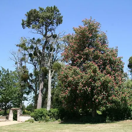 Chateau De Bed & Breakfast Bournand
