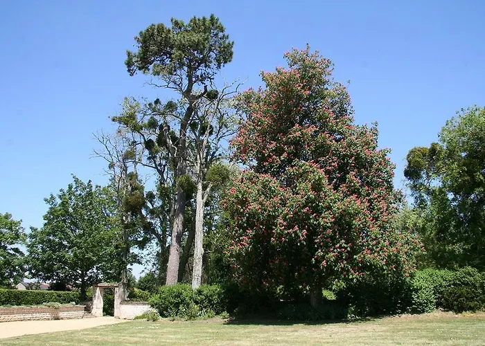 Chateau De Bed and breakfast Bournand