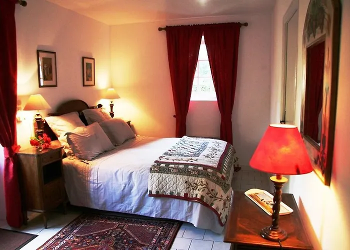 Chateau De Bed and breakfast Bournand